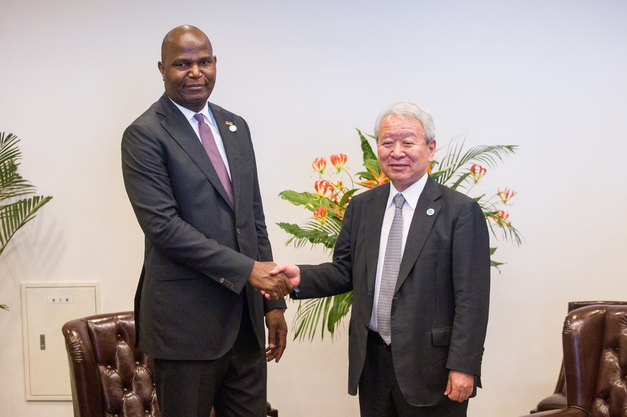 Japão garante investimentos nas áreas de energia e agricultura moçambicanas