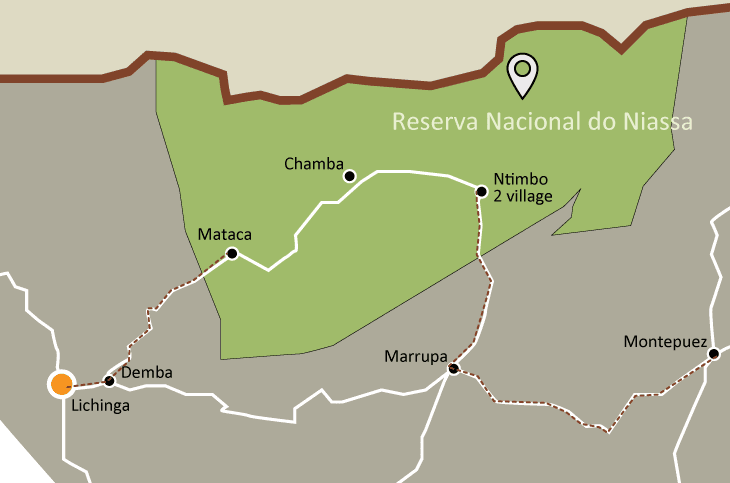 Após ataques terroristas: reserva especial do niassa retoma actividade turística