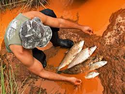 Cerca de quinhentos pescadores abandonam pesca devido à poluição de