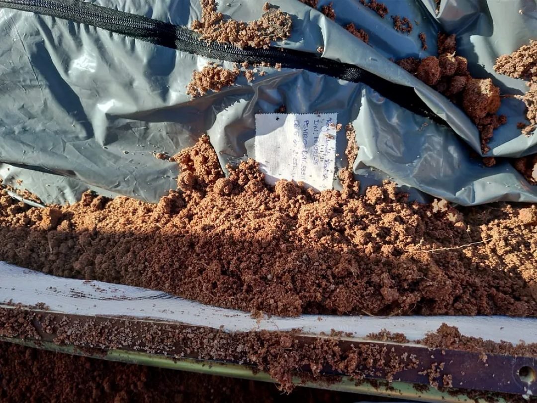 Inhambane: exumado corpo da anciã enterrada viva pelos filhos
