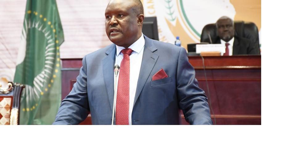 Presidente do parlamento pan africano visita moçambique
