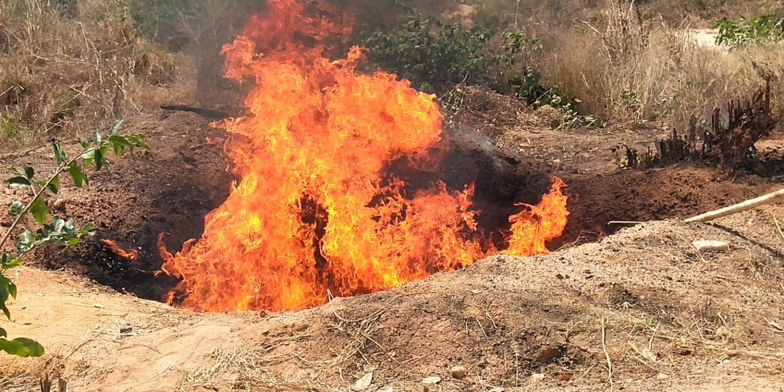 Sernic incinera mais de 184 quilogramas de drogas em nampula