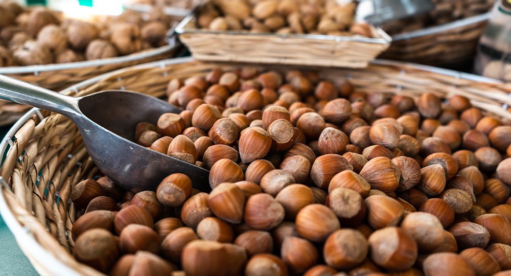 Zambézia prevê produzir mais de mil toneladas de macadâmia
