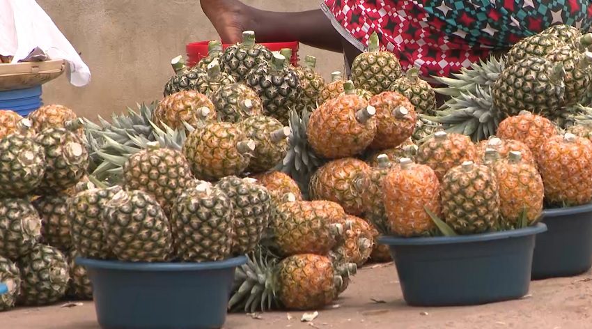 A primeira do género: sofala terá fábrica de processamento de
