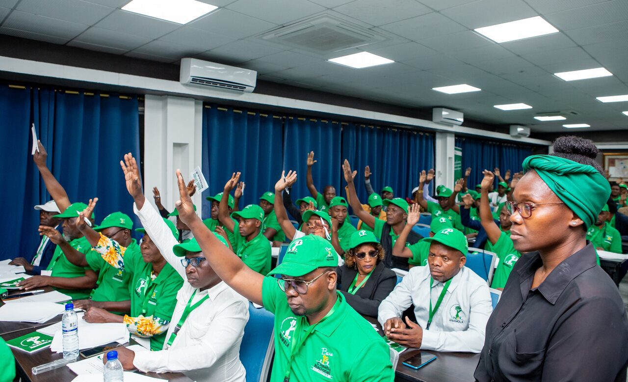 Anamola aprova regulamento interno do partido