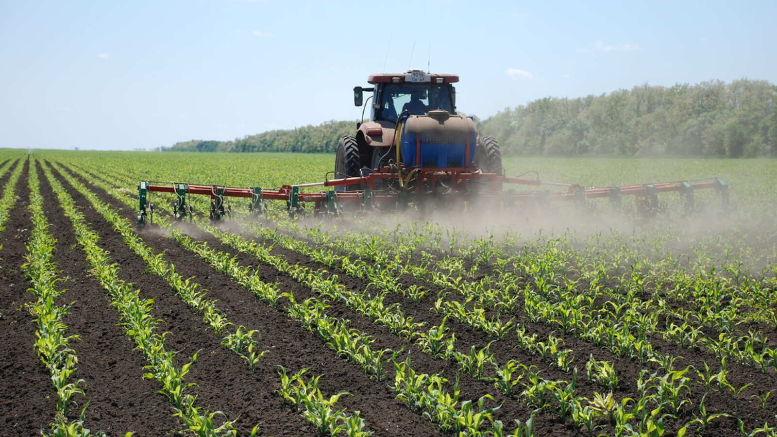 Brasil destaca nampula como polo promissor para investimentos agrícola