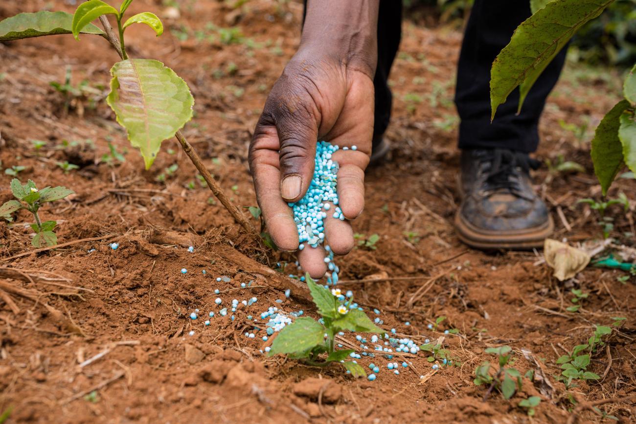 Governo alarga direito de registo de fertilizantes a empresas agrícolas