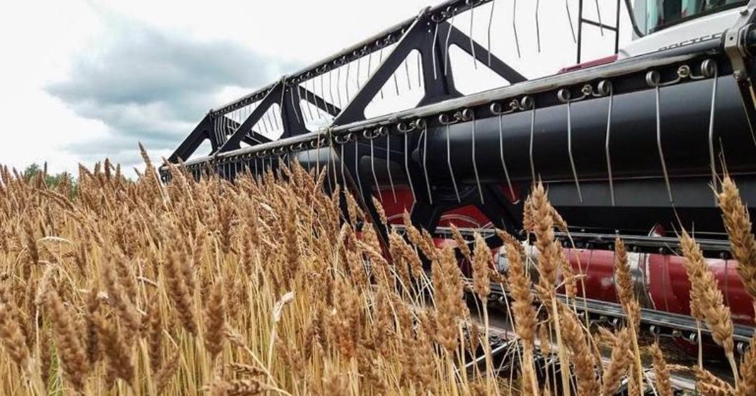 Governo pondera afastar jampur do complexo agro industrial de chókwè