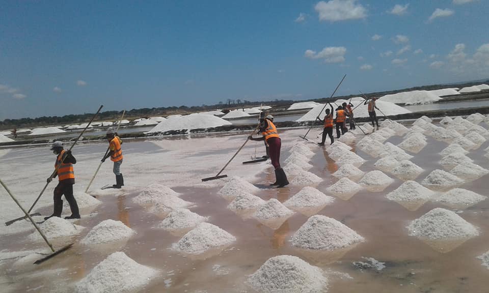 Ilha de moçambique organiza feira do sal para dinamizar o