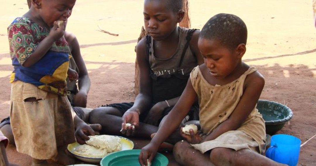 Insegurança alimentar pode atingir 85 mil pessoas