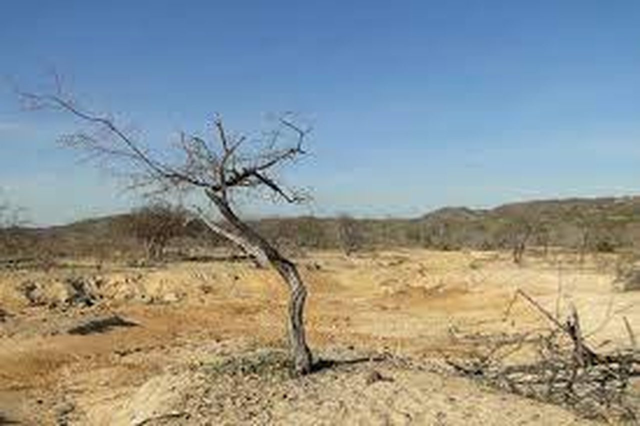 Lançado mecanismo de intercâmbio de impacto em paisagens sustentáveis de