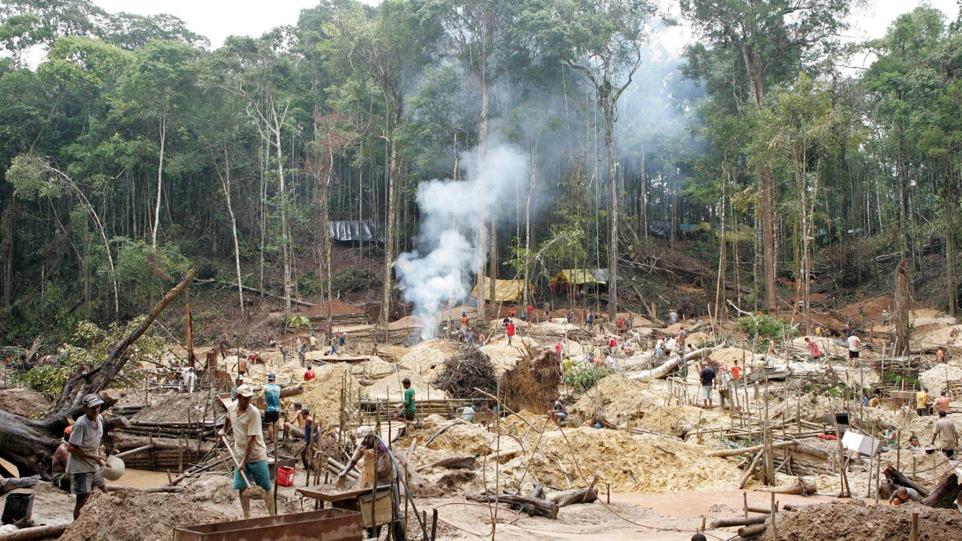 Nampula: governo preocupado com a prevalência de conflitos na exploração