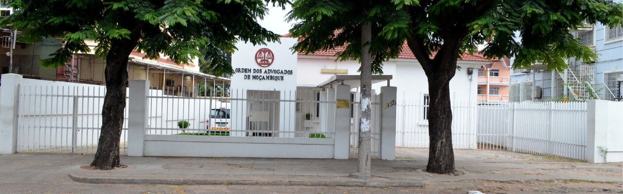 Oam realiza conferência nacional da jovem advocacia e mulher advogada
