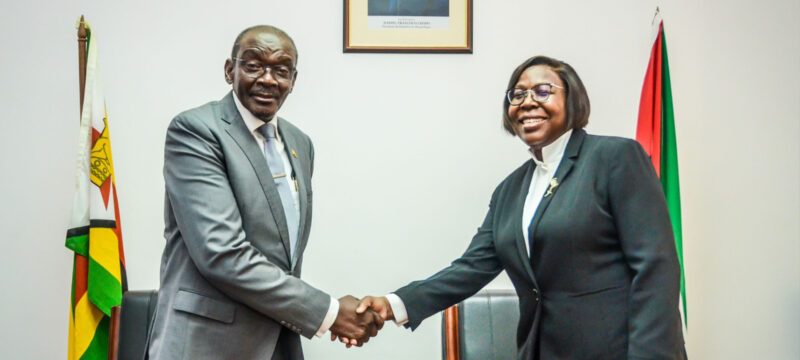  zimbabwe e moçambique querem reforçar a cooperação para alcance da