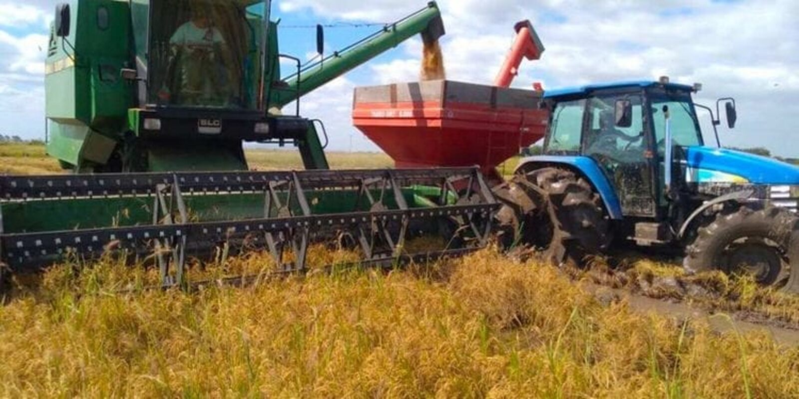 Empresariado moçambicano apela à maior coordenação e inovação no sector