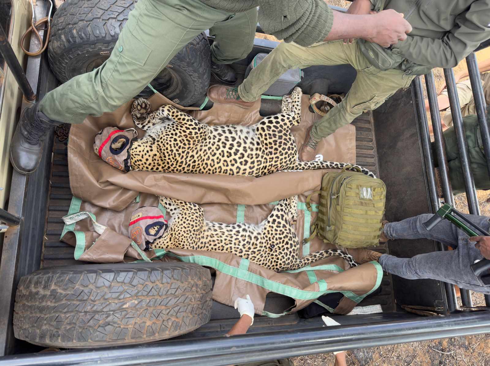 Karingani reforça parceria com parque nacional da gorongosa através da