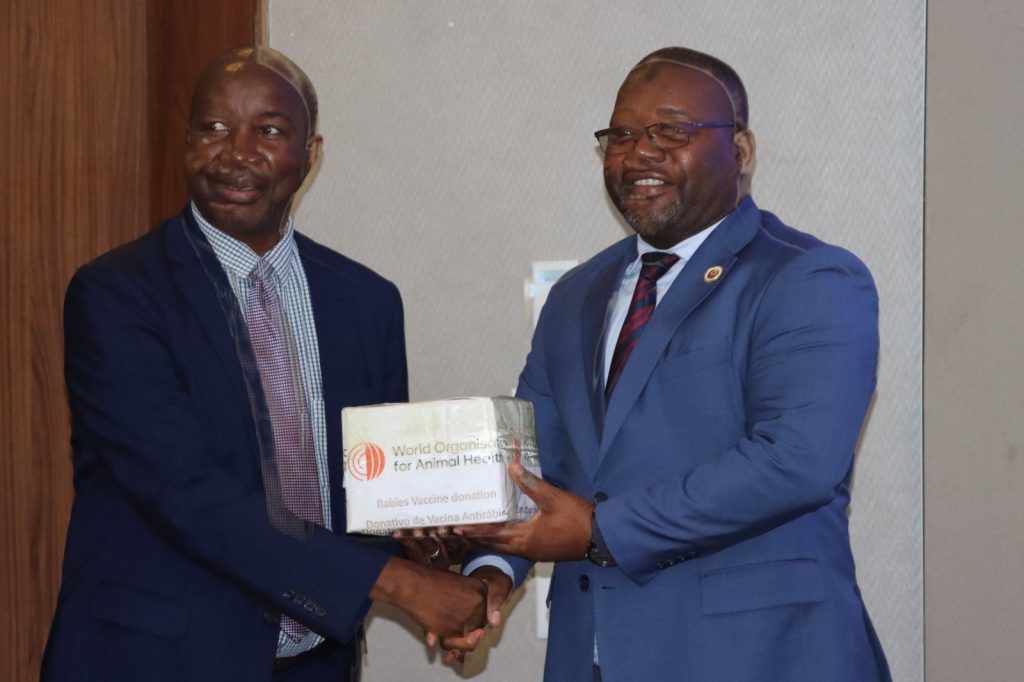 Moçambique recebe doação de 100 mil doses de vacina contra