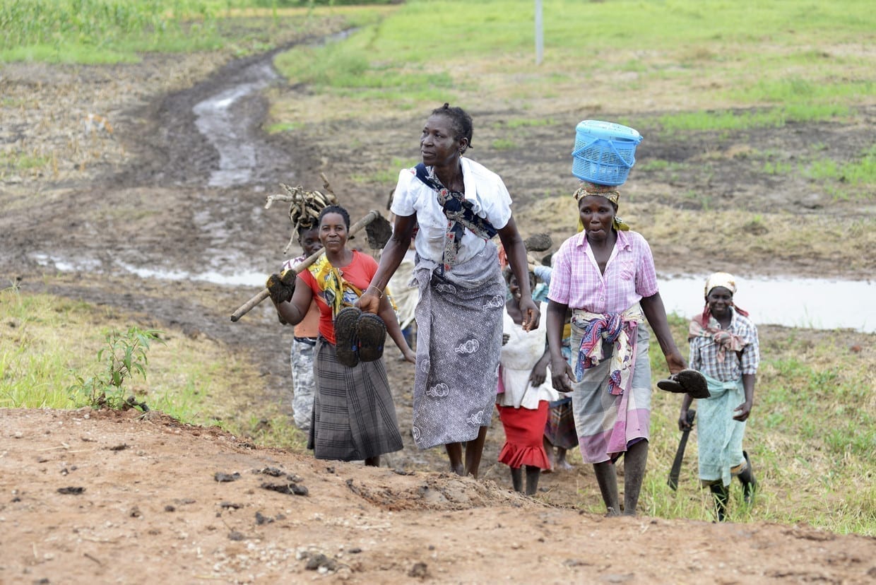 Moçambique recebe prémio de seguro de 2 milhões de dólares