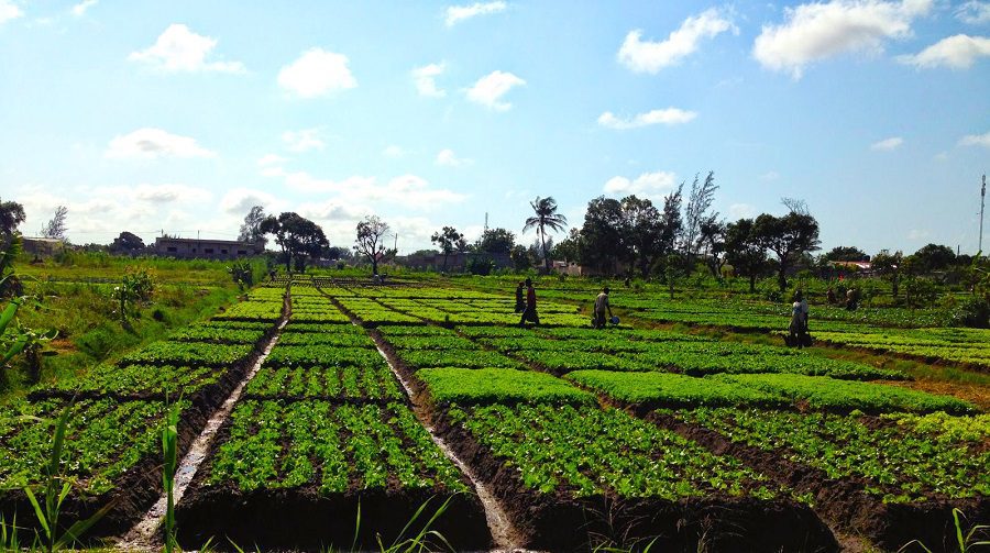 Pr lança campanha agrária 2025 2026