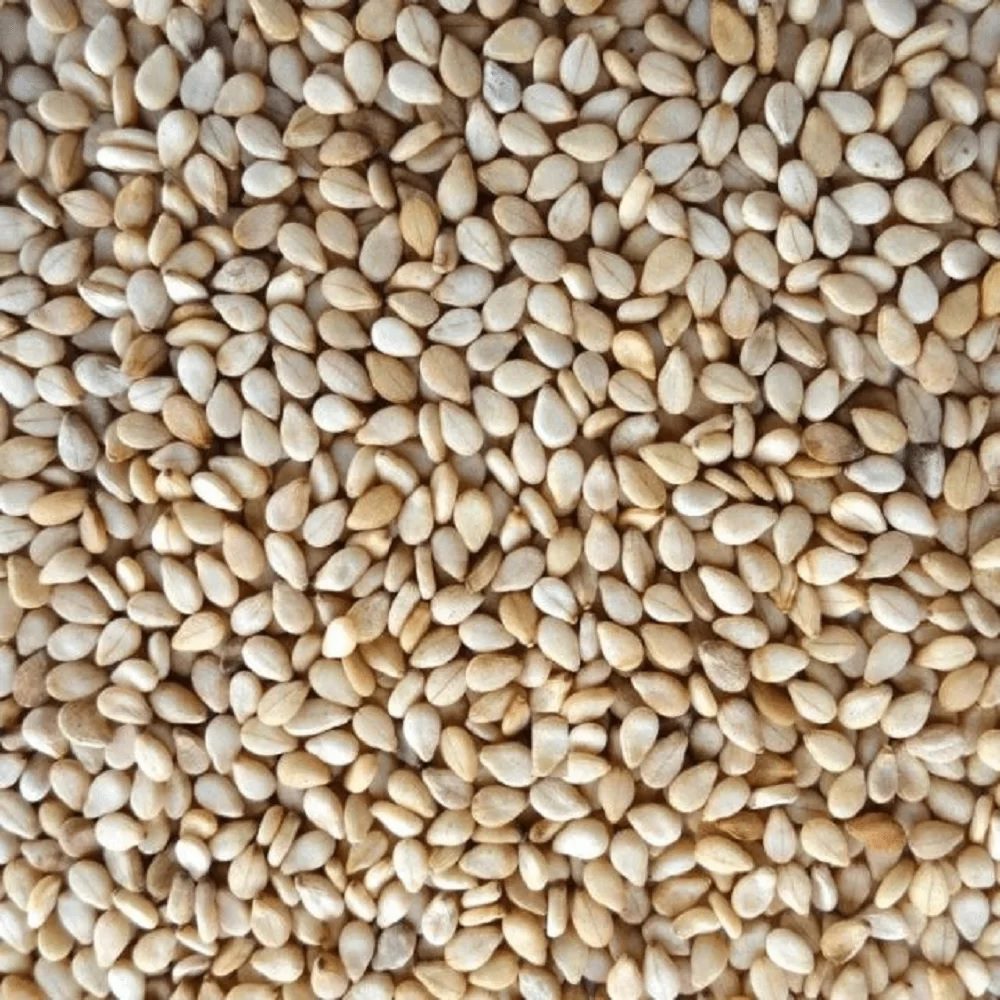 Moçambique tem vindo a afirmar se como um dos maiores produtores