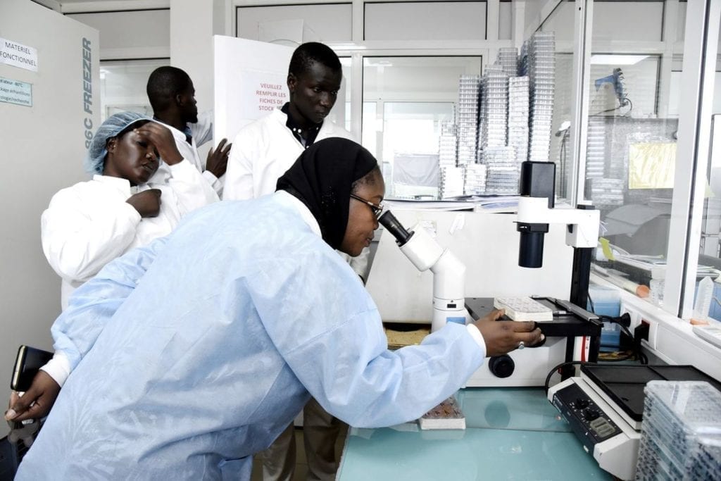 África do sul inicia ensaios clínicos para produção da primeira