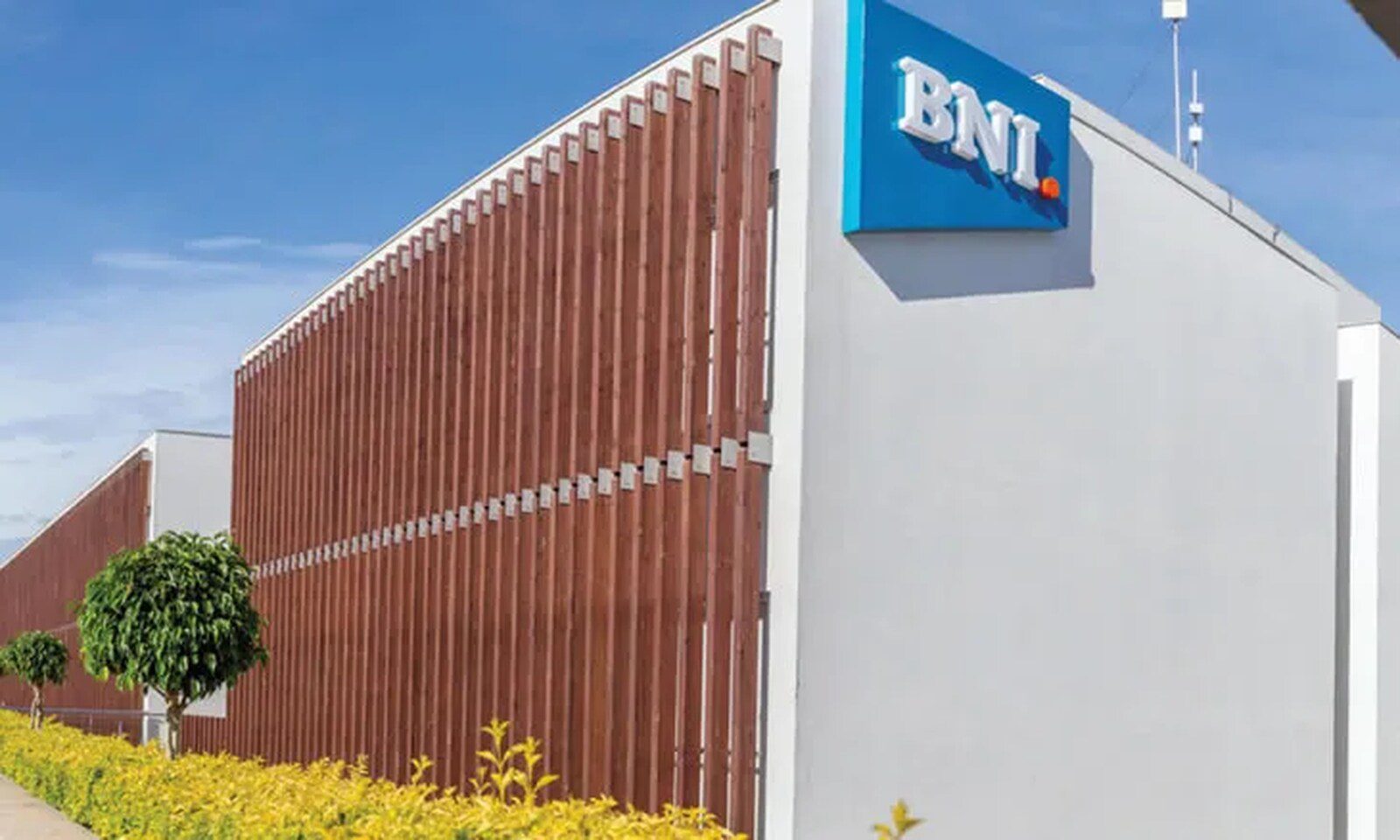 Cdd desafia governo a transformar o banco nacional de investimento