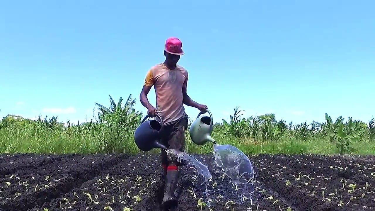 Chapo quer liderança da juventude no desenvolvimento sustentável de África