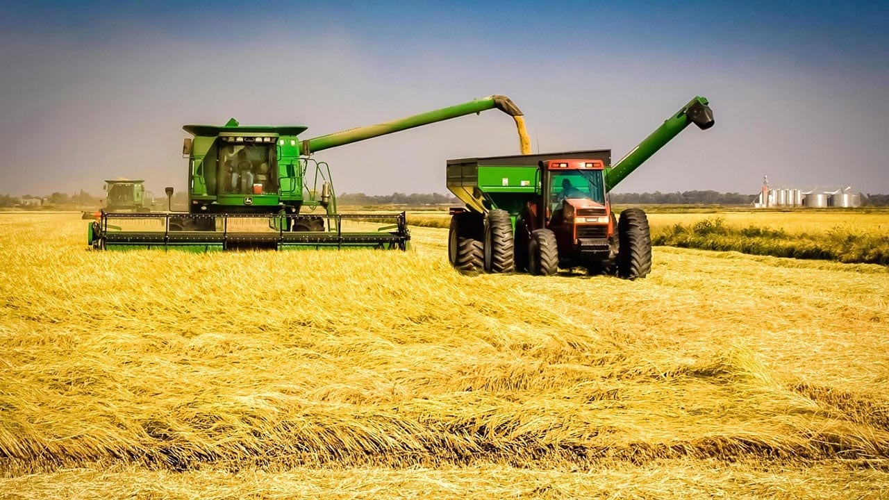 Gaza: investidores líbios vão produzir arroz nos regadios de chókwè