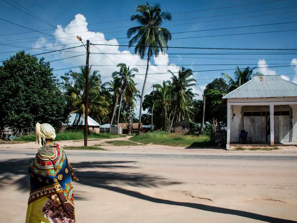 Insurgentes saqueiam produtos alimentares em quissanga