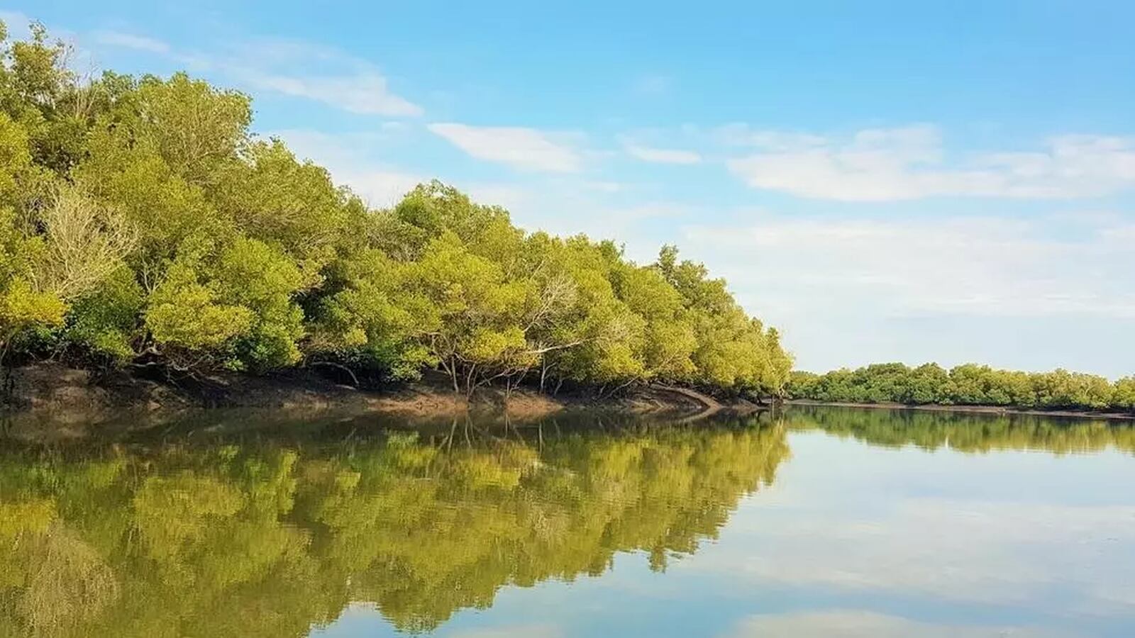 Nampula regista aumento das iniciativas de restauração de ecossistemas danificados