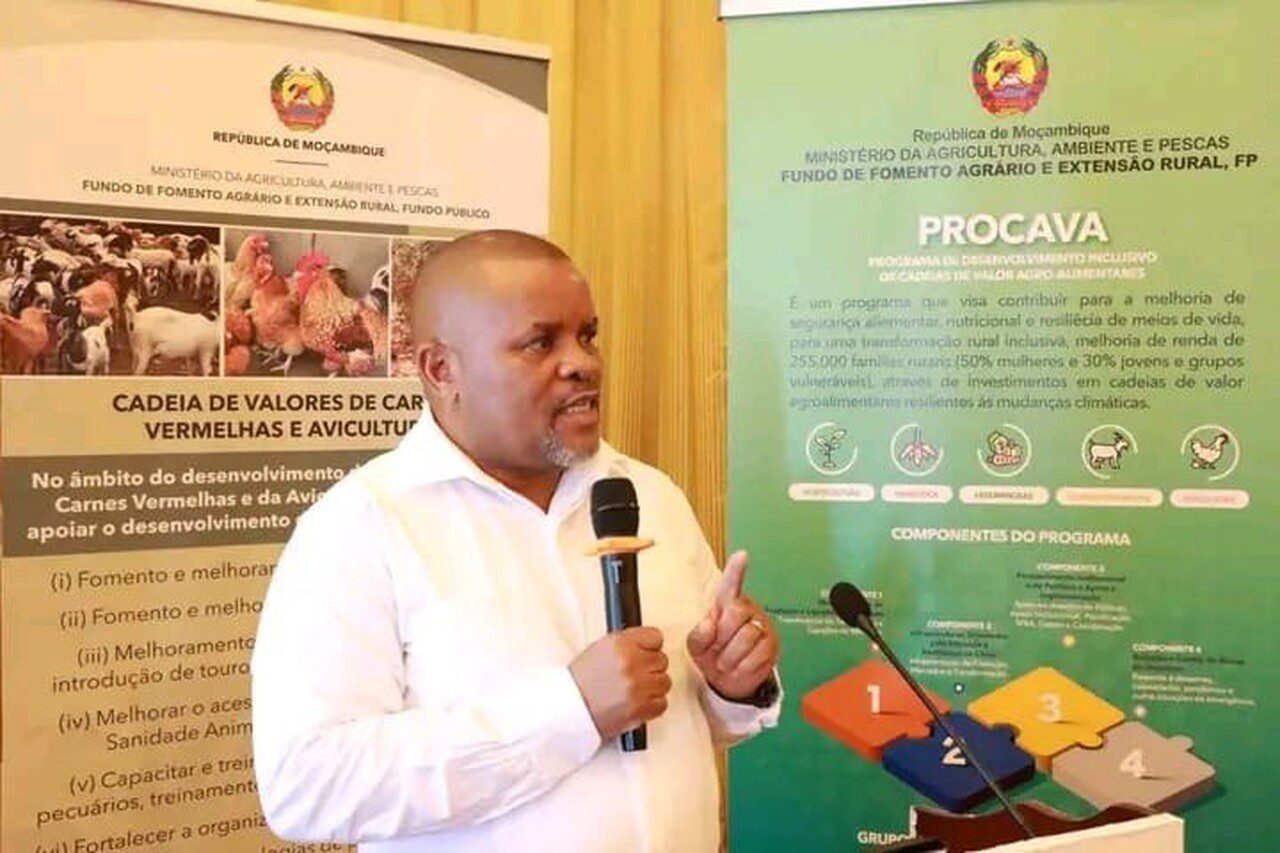 Ministro destaca produção no campo como chave para alimentar moçambique