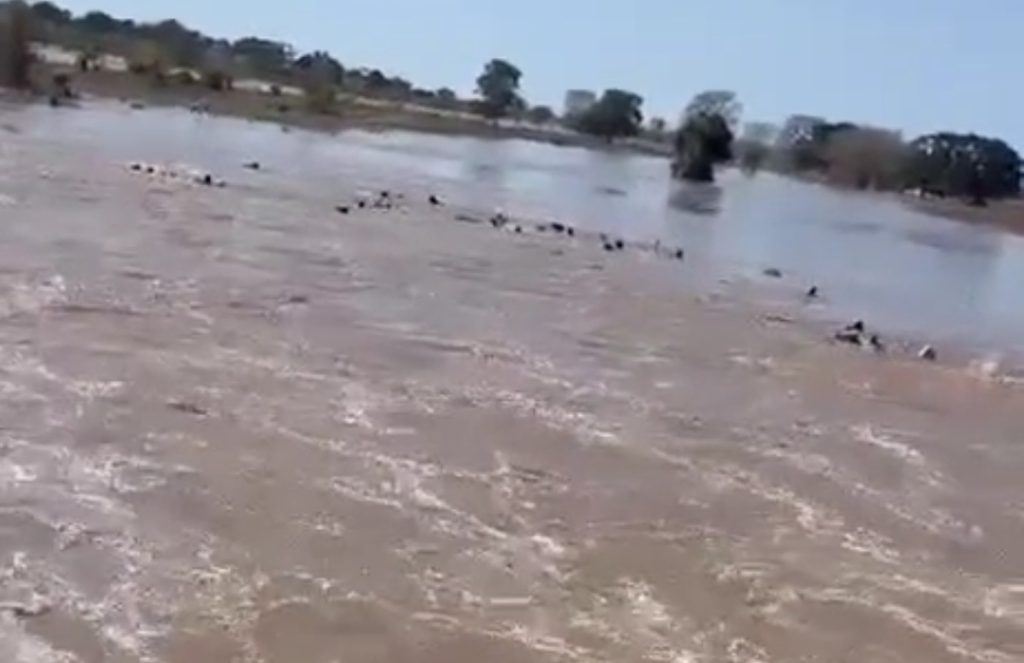 Mais de 140 morreram e mais de 840 mil foram