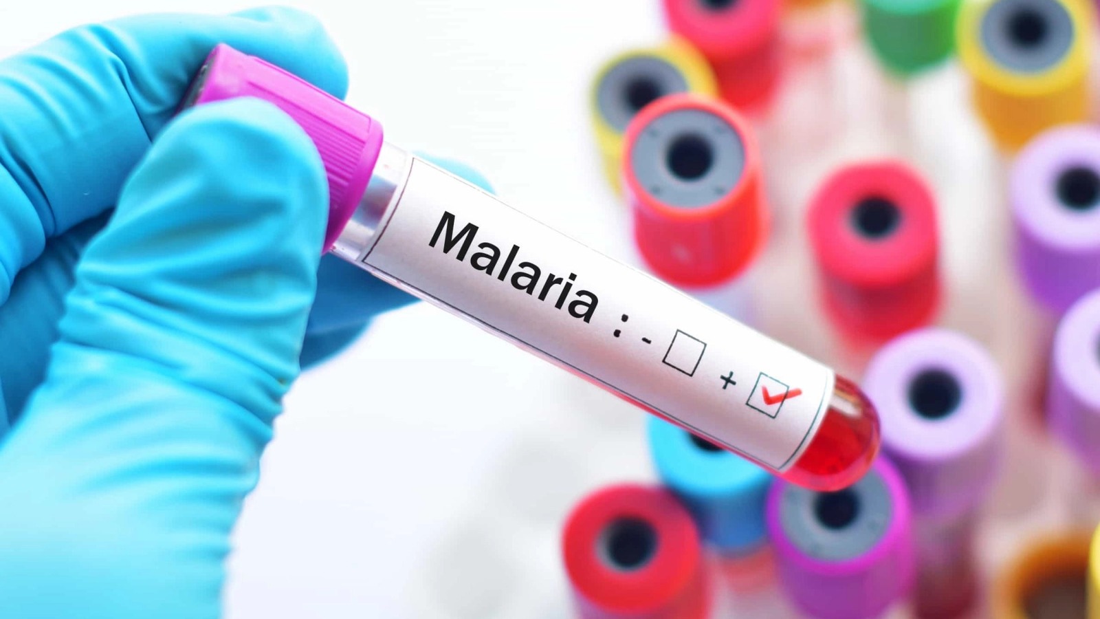 Mortes por malária aumentaram em mais de 100% na cidade