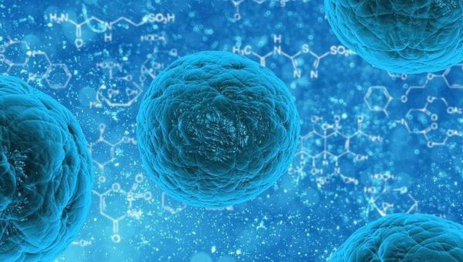 Novo vírus mortal coloca o mundo em alerta máximo