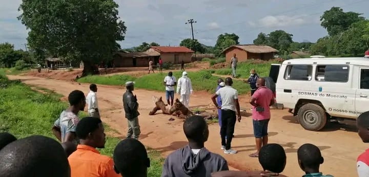 Rapto em Muecate termina em linchamento de suspeito pela população