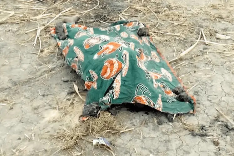 SERNIC: Campanha de consciencialização contra homicídios em Inhambane