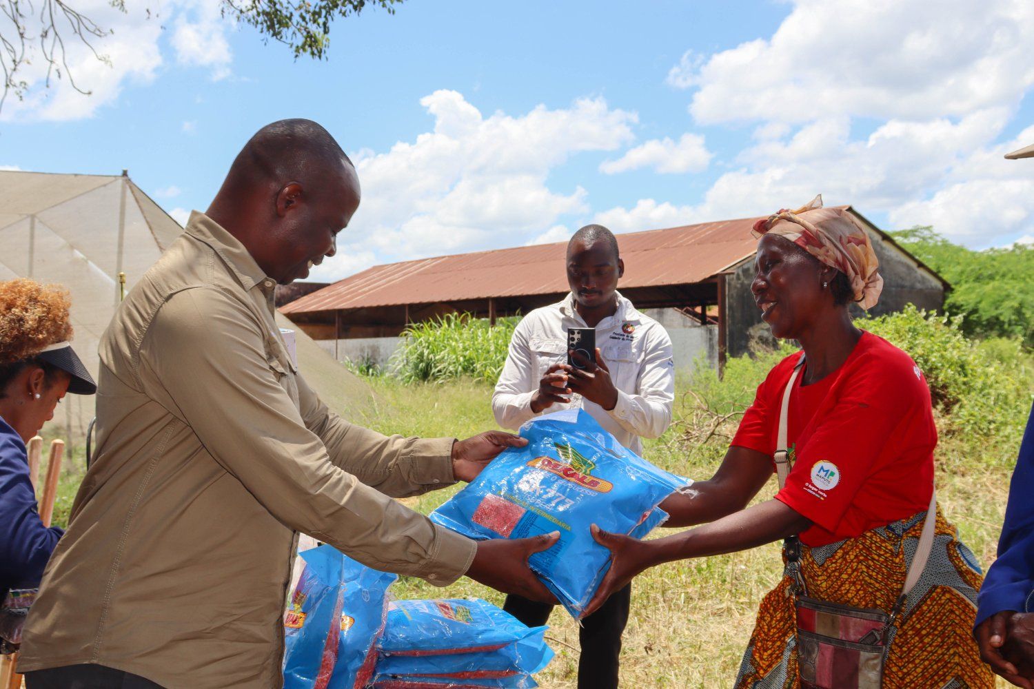 Maputo Província: Arranca distribuição de sementes para agricultores que perderam