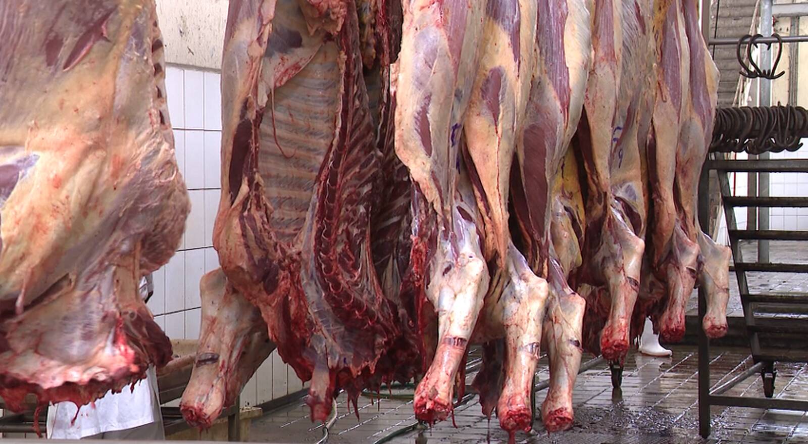 Autoridades apreendem carne bovina imprópria para o consumo na cidade