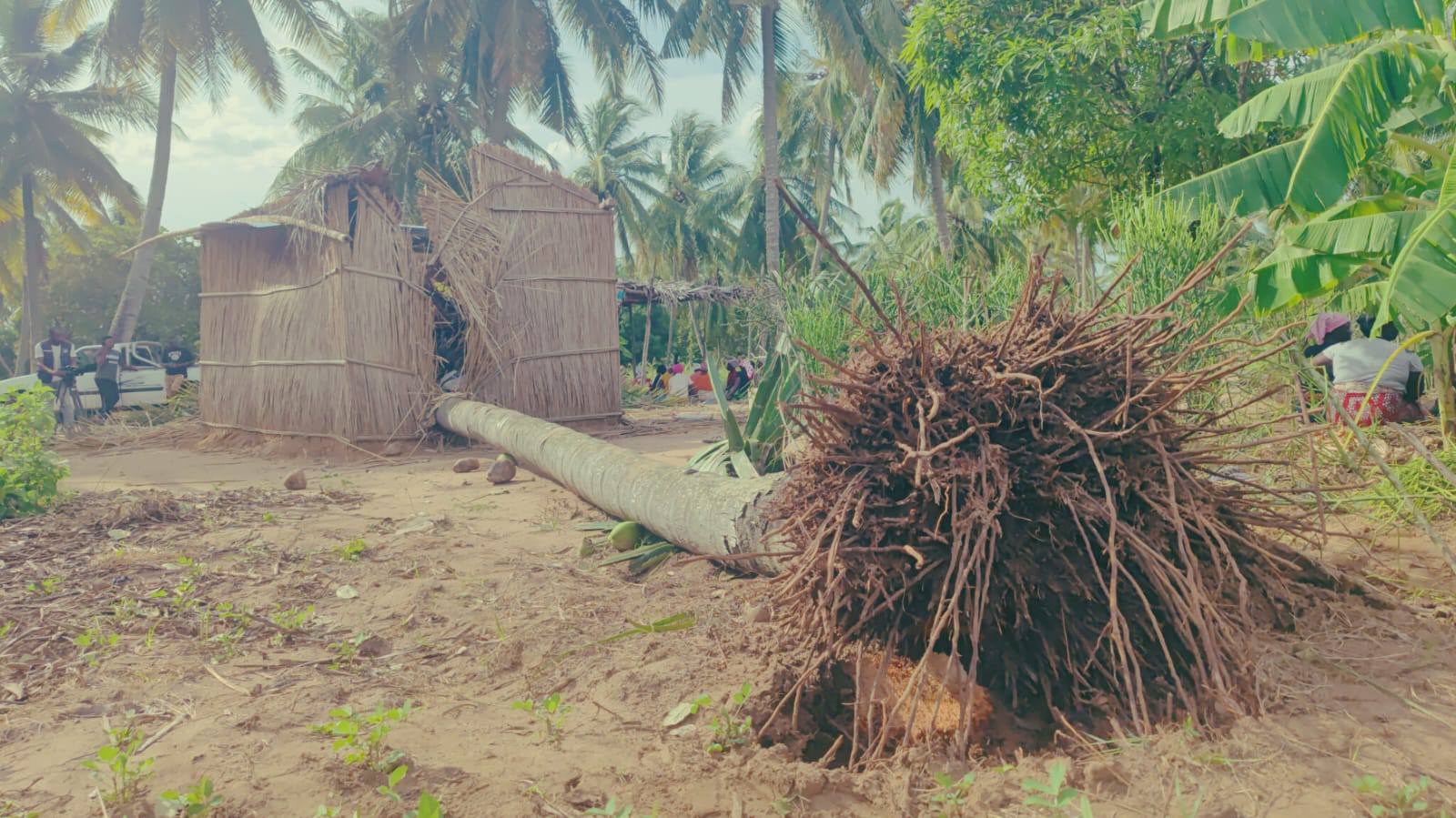 GEZANI: Número de afectados em Inhambane dispara de 500 para