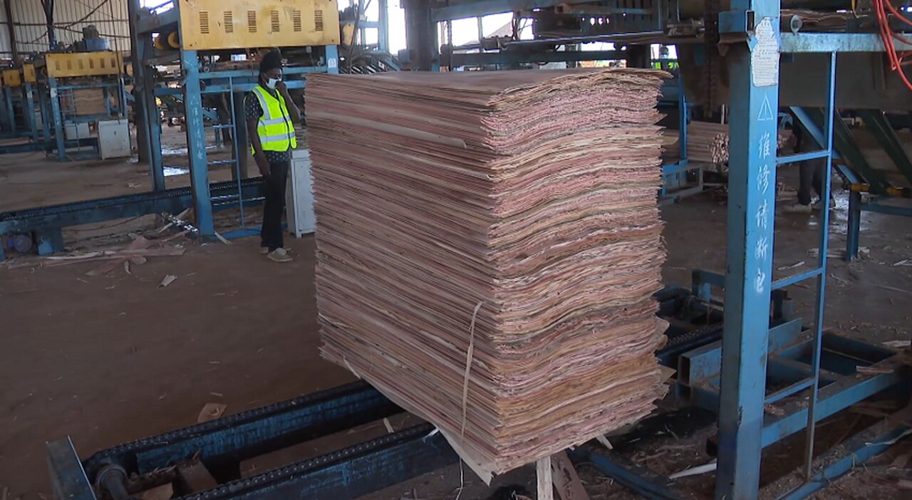 Manica alberga primeira fábrica de produção de papel