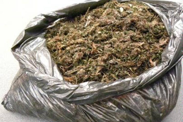 Maputo: Polícia apreende 120 embrulhos de suruma proveniente da África