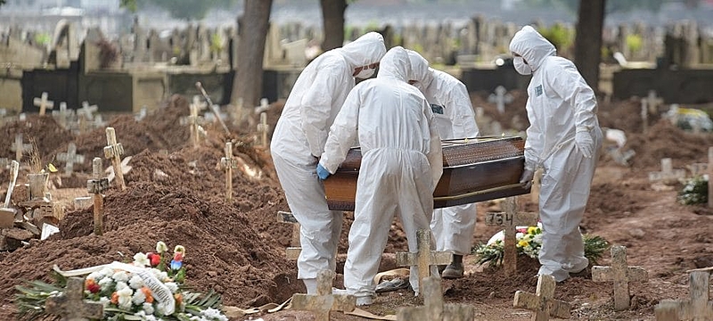 Novo vírus nipah sem vacina nem cura: sintomas, transmissão e