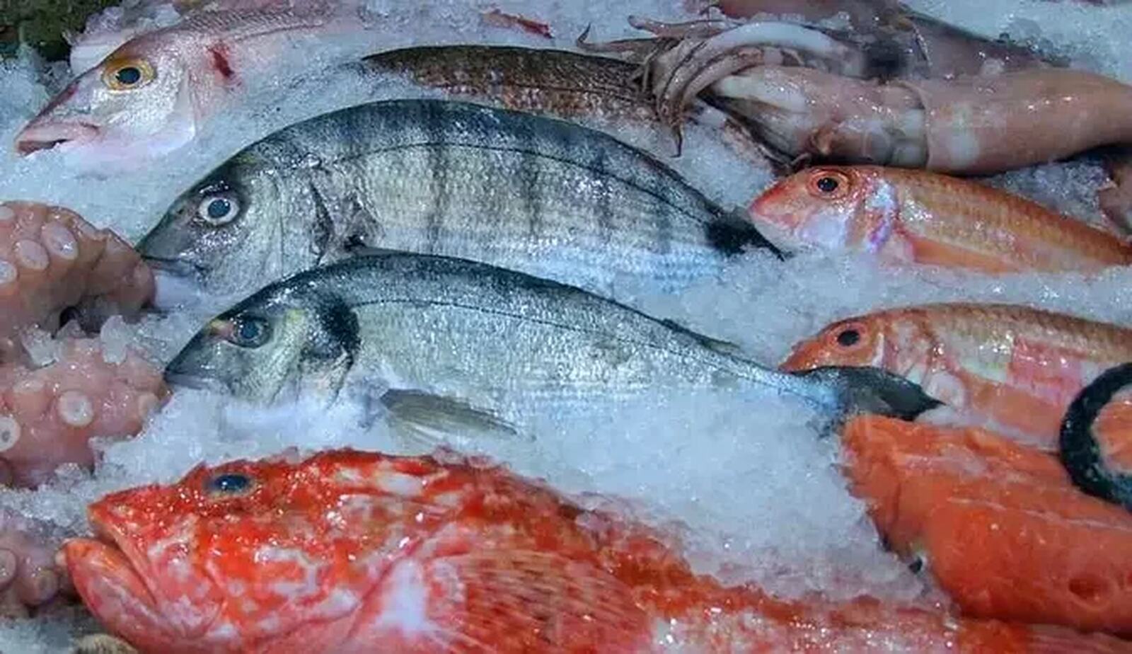 “Peixe falso à mesa ameaça 20% do comércio global e