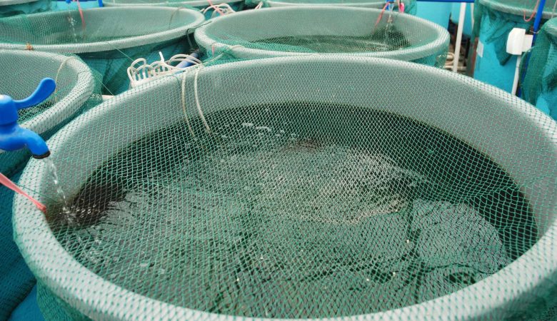 Sofala precisa de 18 milhões de meticais para salvar a