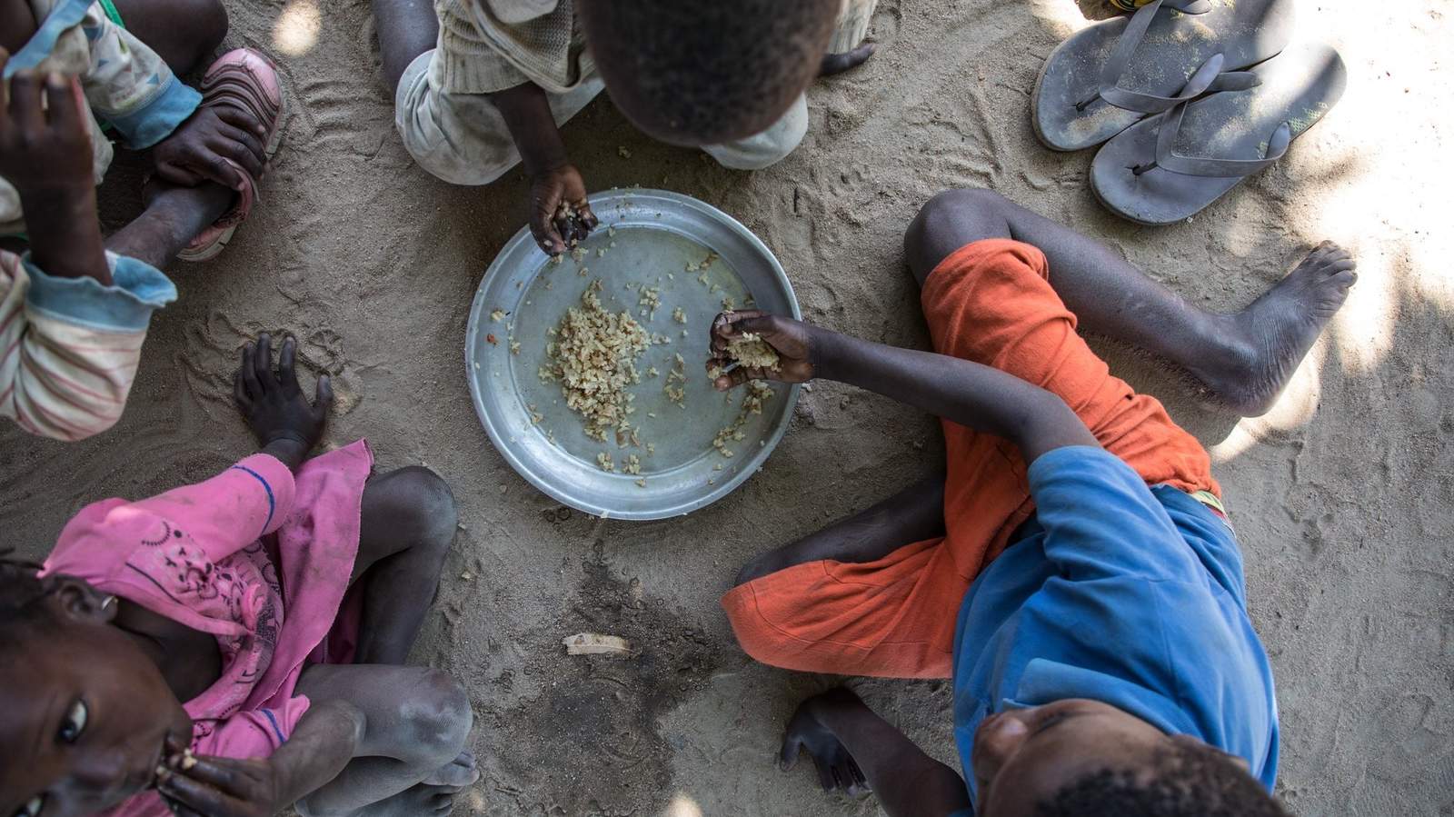 Mais de sete mil famílias em risco de insegurança alimentar