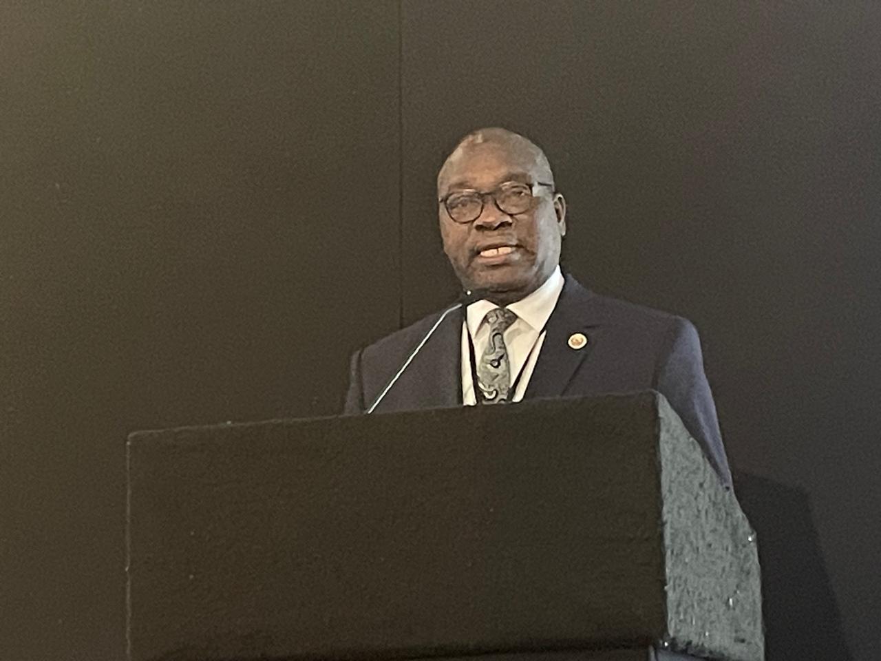 Moçambique participa na Sessão Plenária da Iniciativa dos Princípios Voluntários