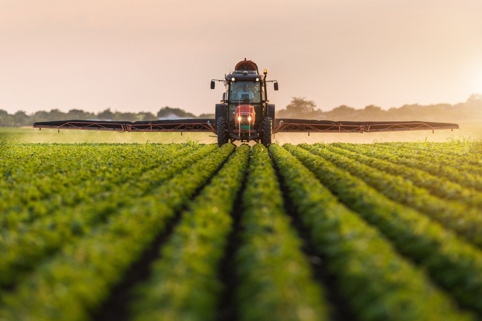 Alemanha anuncia 3 mil milhões para o desenvolvimento do agro negócio