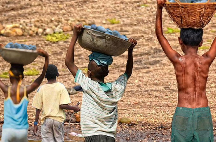 Combate à exploração: Nampula Resgata 34 Crianças do Trabalho Infantil no