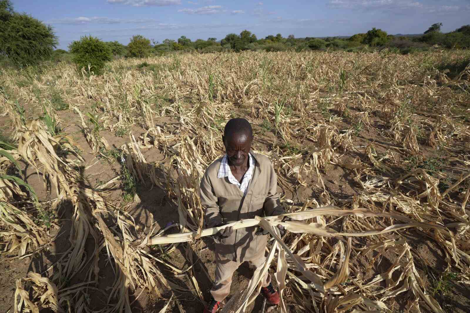 Efeitos climáticos ameaçam segurança alimentar em Tete
