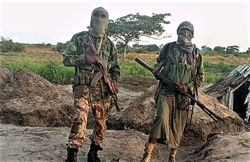 FDS capturam dez cidadãos tanzanianos suspeitos de ligações a insurgentes